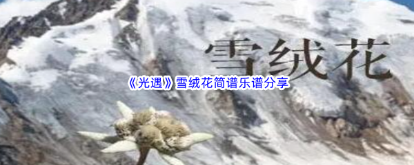 《光遇》雪绒花简谱乐谱分享