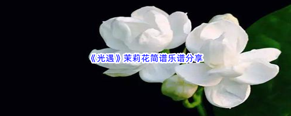 《光遇》茉莉花简谱乐谱分享