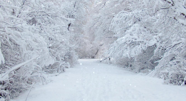 《光遇》认真的雪简谱乐谱分享