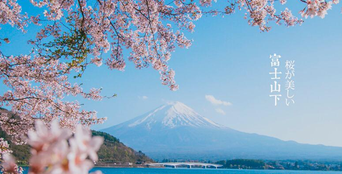 《光遇》富士山下简谱乐谱分享