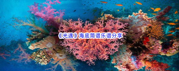 《光遇》海底简谱乐谱分享