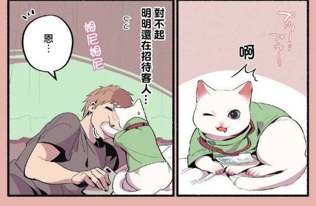 《尾巴漫画》为什么不能看了？怎么回事呢