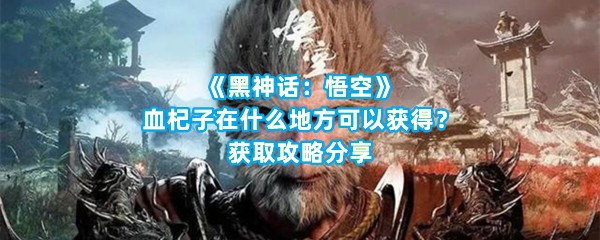 《黑神话：悟空》血杞子在什么地方可以获得？获取攻略分享