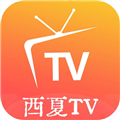 西夏TV